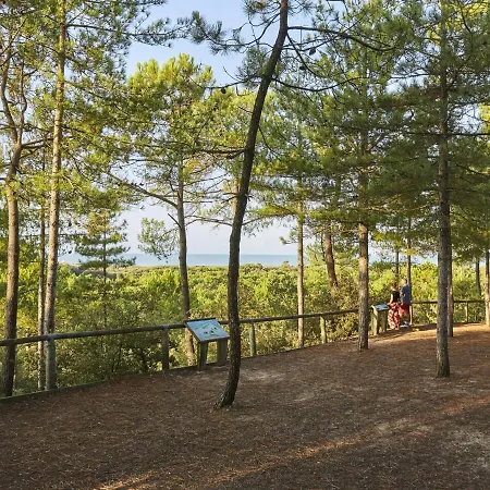 Maison 4 Proche Plage Et Commerces, Ideale Pour Familles Ou Amis - Fr-1-323-374 Saint-Jean-de-Monts